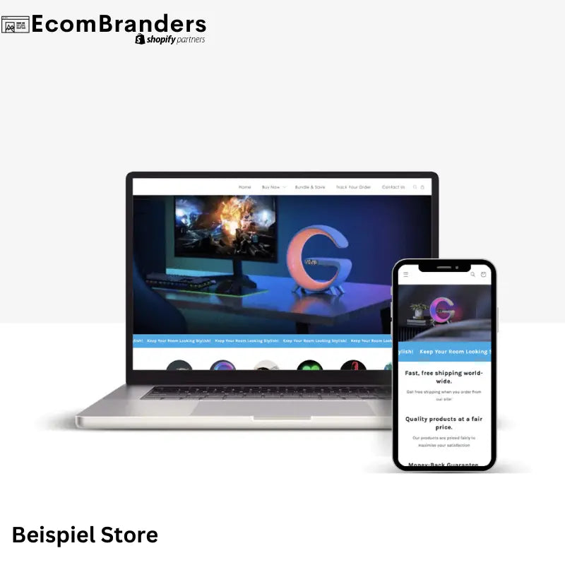 Individueller Dropshipping Store - EcomBranders