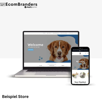 Individueller Dropshipping Store - EcomBranders