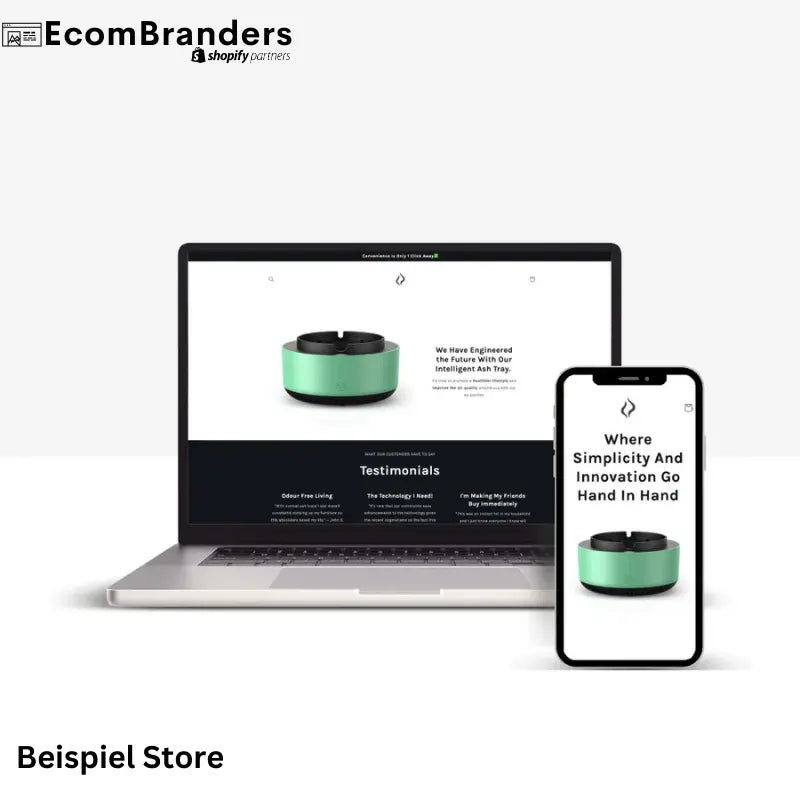 Individueller Dropshipping Store EcomBranders