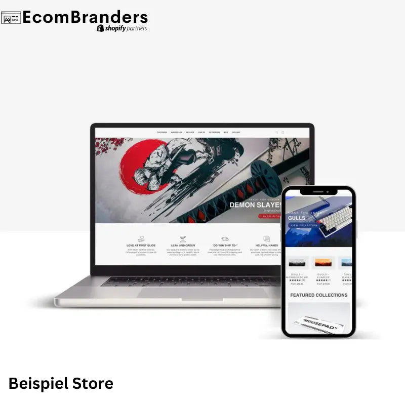 Individueller Dropshipping Store EcomBranders