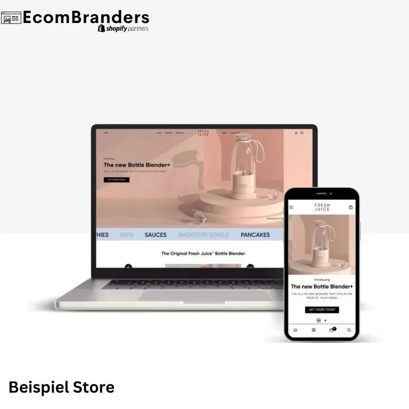 Individueller Dropshipping Store EcomBranders